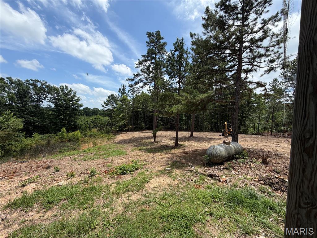 First slide
