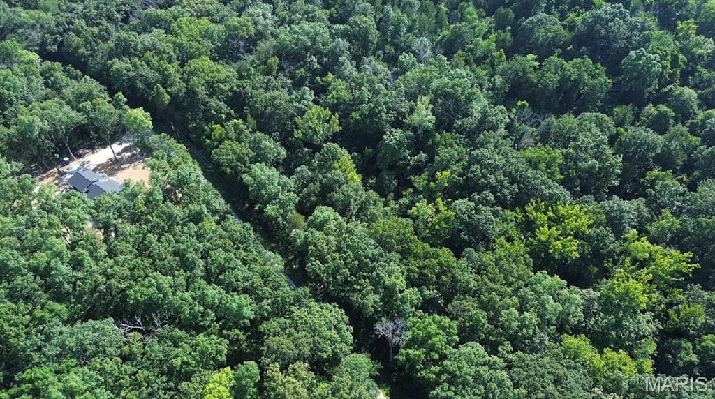 First slide