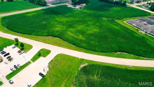 Lot 13 Station Crossing, Waterloo, IL, 62298