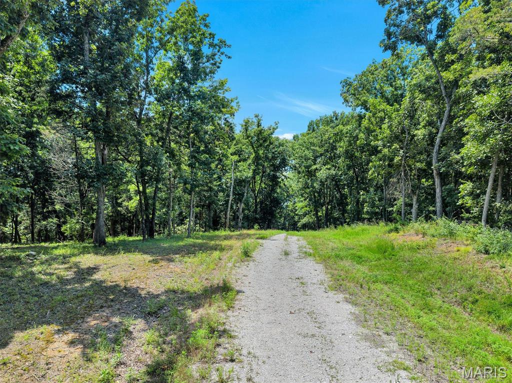 First slide