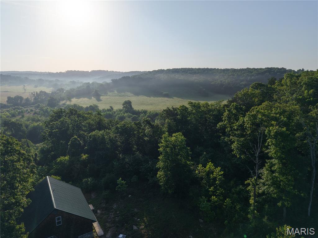 First slide