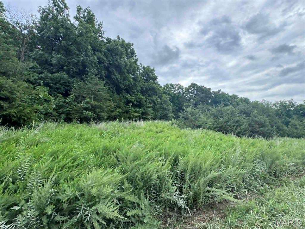 0 Walnut Street Place, New London, MO, 63459