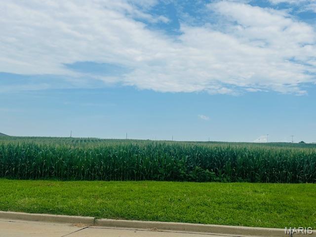 Lot 14 Columbia Ave, Waterloo, IL, 62298