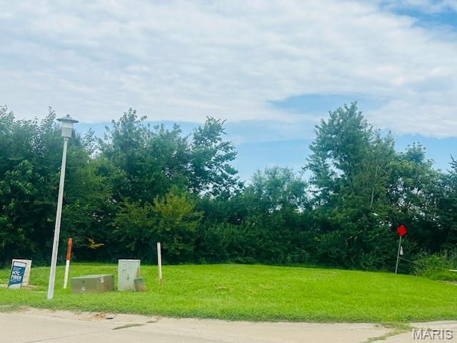 Lot 15 Columbia Ave, Waterloo, IL, 62298
