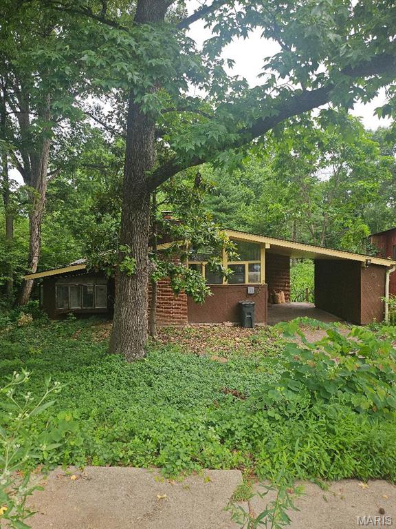 423 S Park Avenue, Webster Groves, MO, 63119