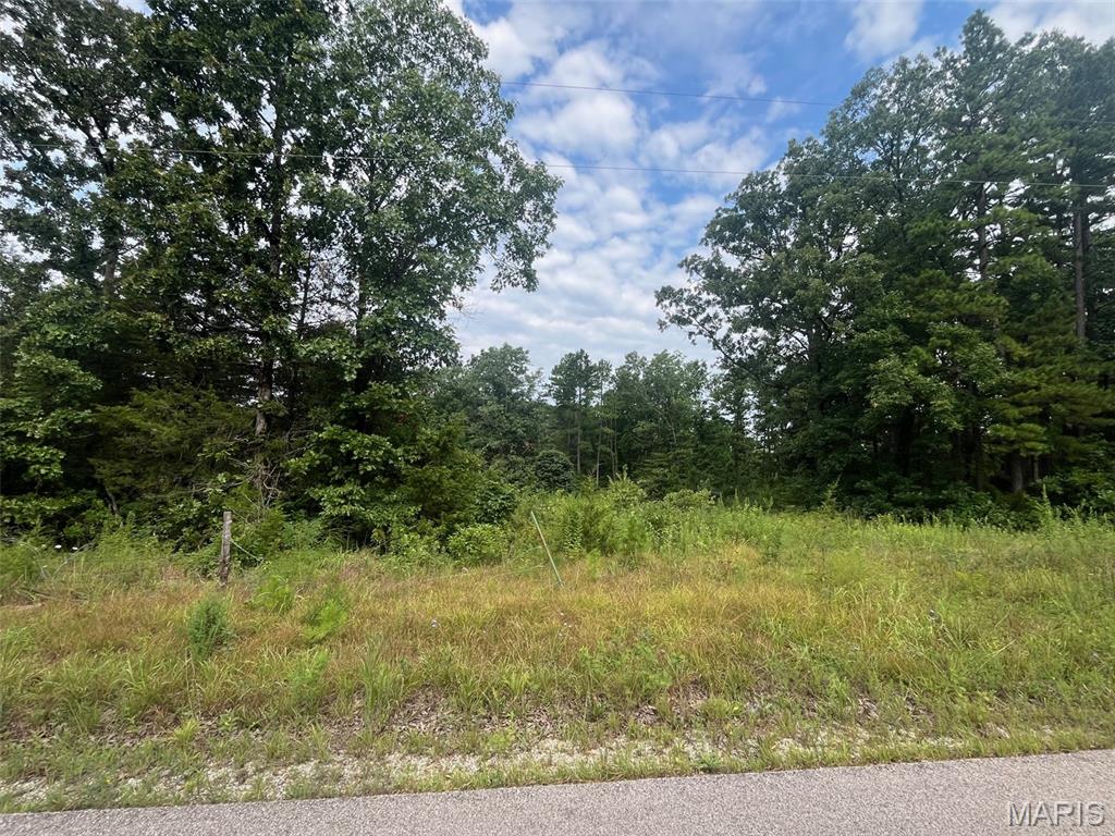0 Grassy Hollow Road, Potosi, MO, 63664
