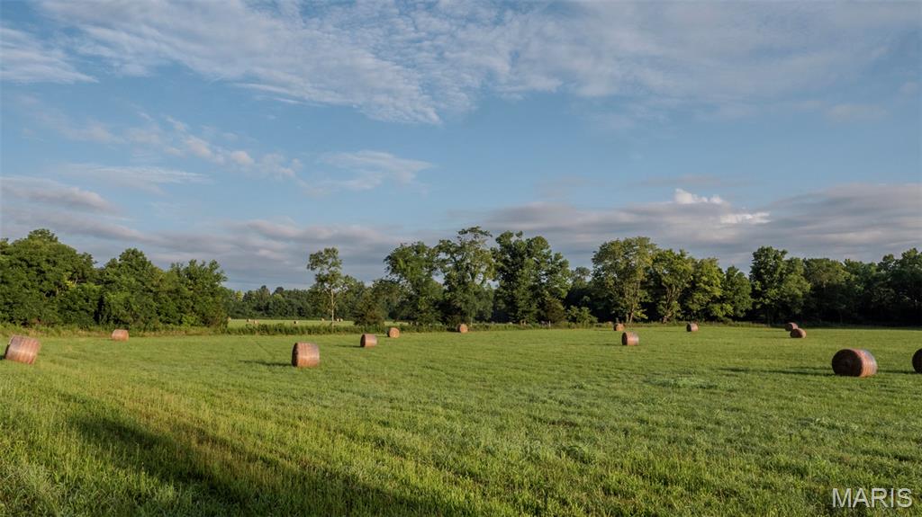 First slide