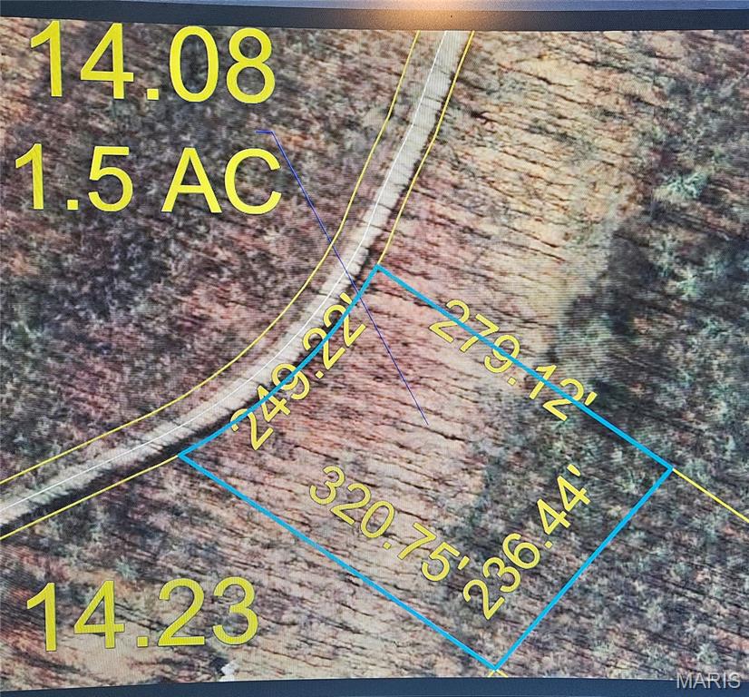 First slide