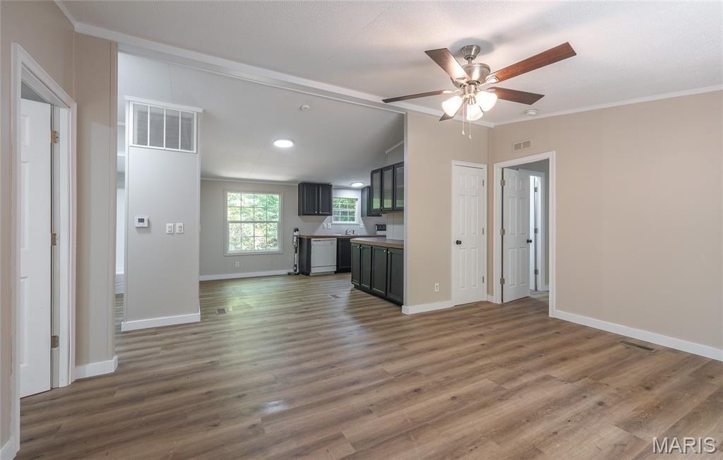 First slide