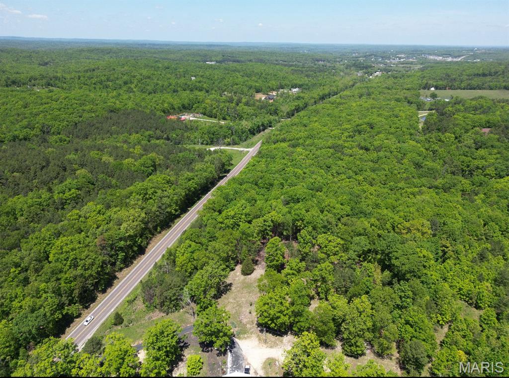 First slide