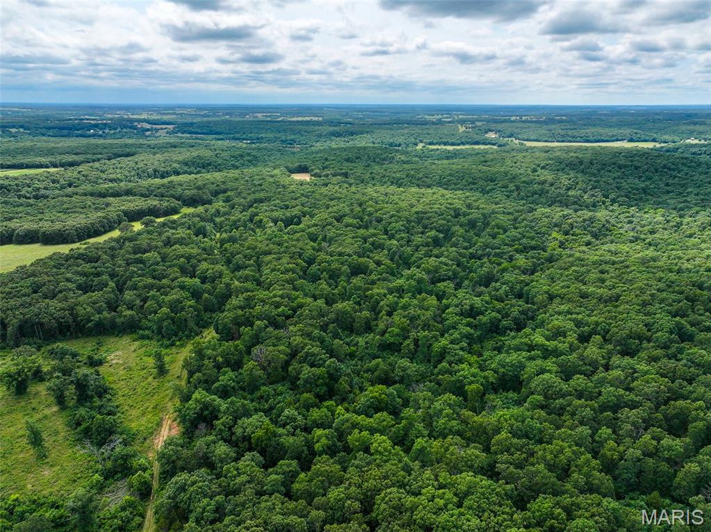 0000 SE 1151 Road, Collins, MO, 64738