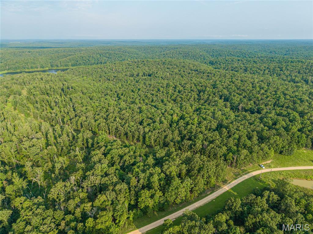 First slide