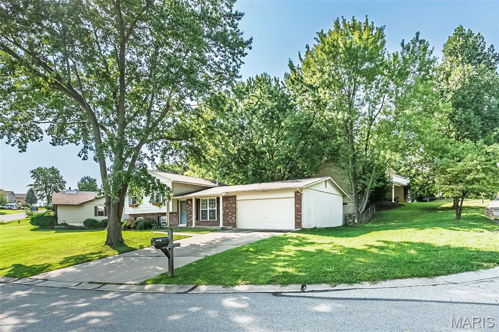 First slide