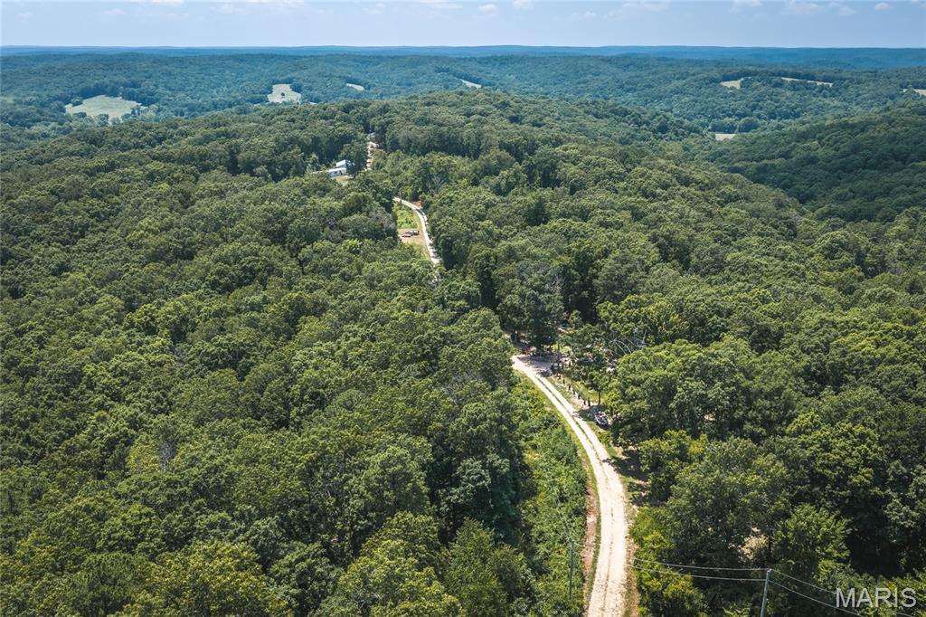 First slide