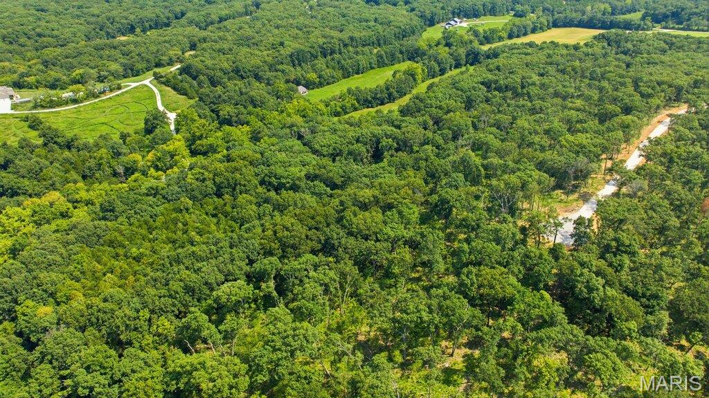 First slide