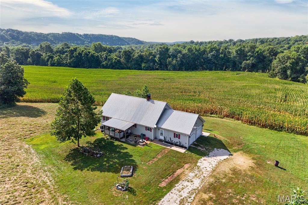 First slide