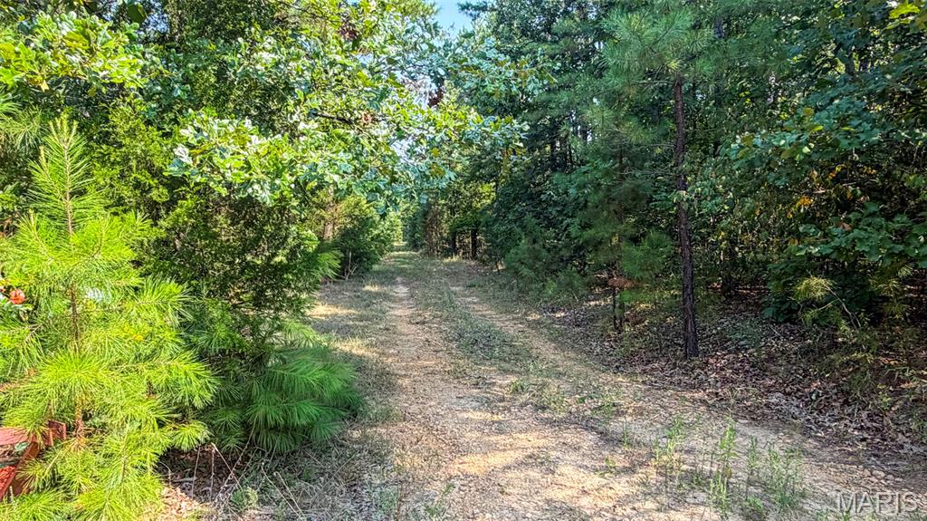First slide