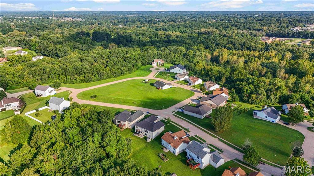 First slide