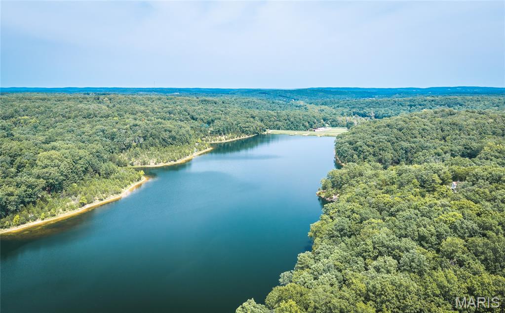 First slide