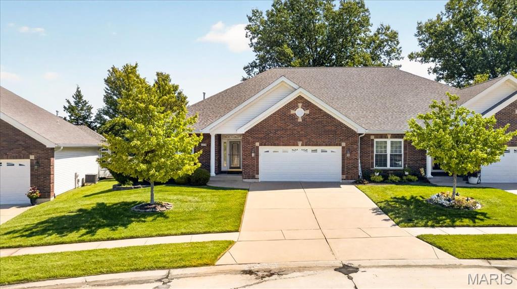 2418 Golden Bear