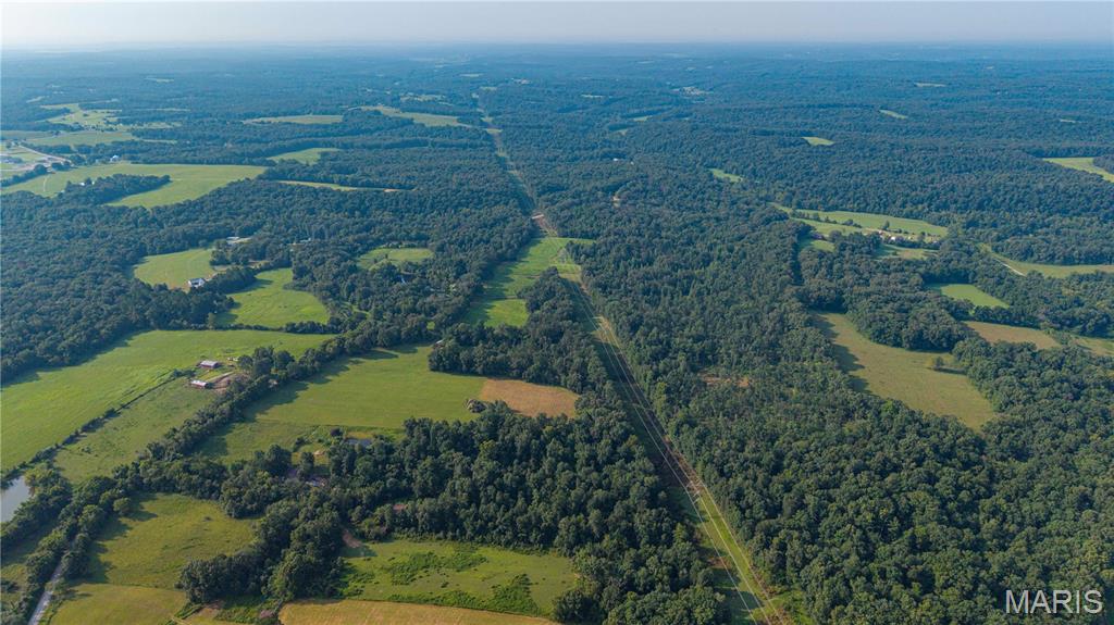 First slide