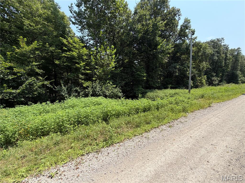 First slide