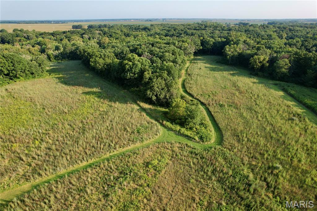 First slide