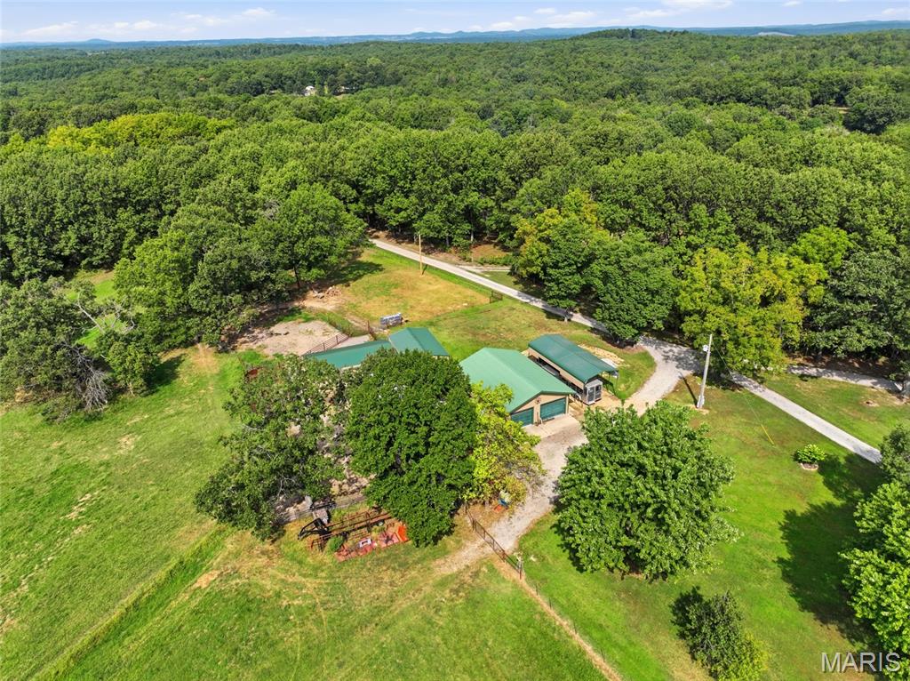 First slide