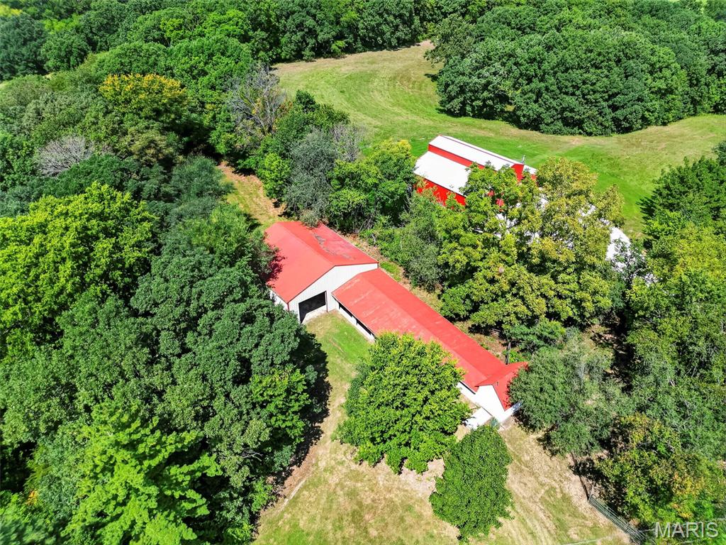First slide