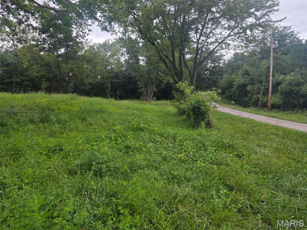 First slide