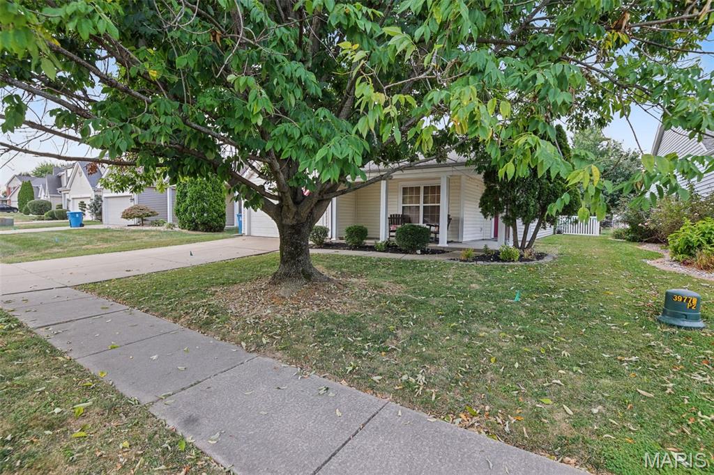 First slide