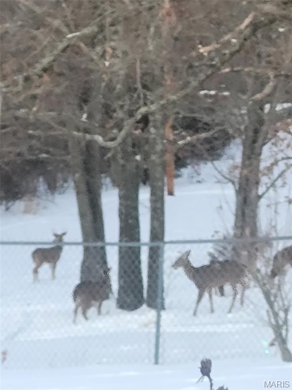First slide