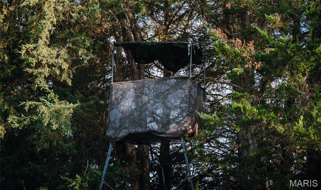 First slide