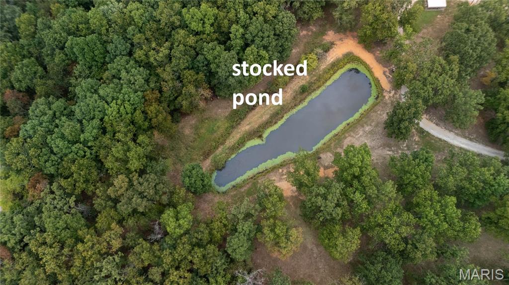 First slide