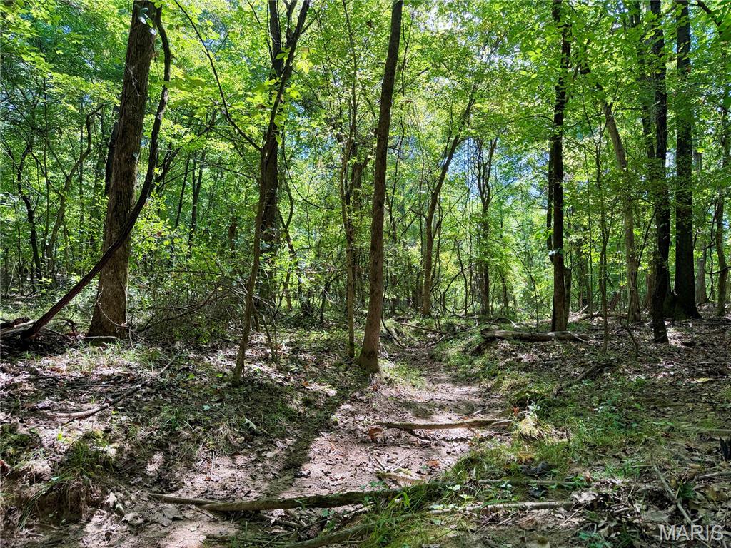 19137 County Road 268, Bloomfield, MO, 63825