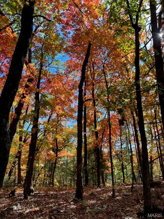 7919 County Road 4055, Unincorporated, MO, 65069 - 0 bed, 0 bath home for sale in Unincorporated, MO