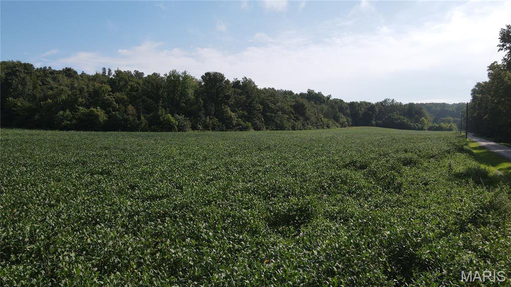 First slide