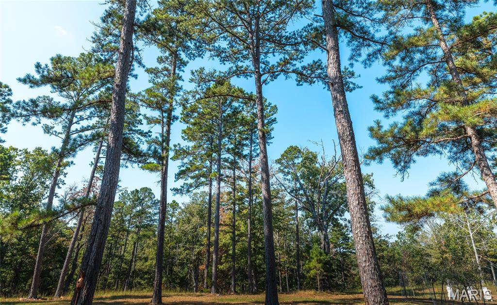 First slide