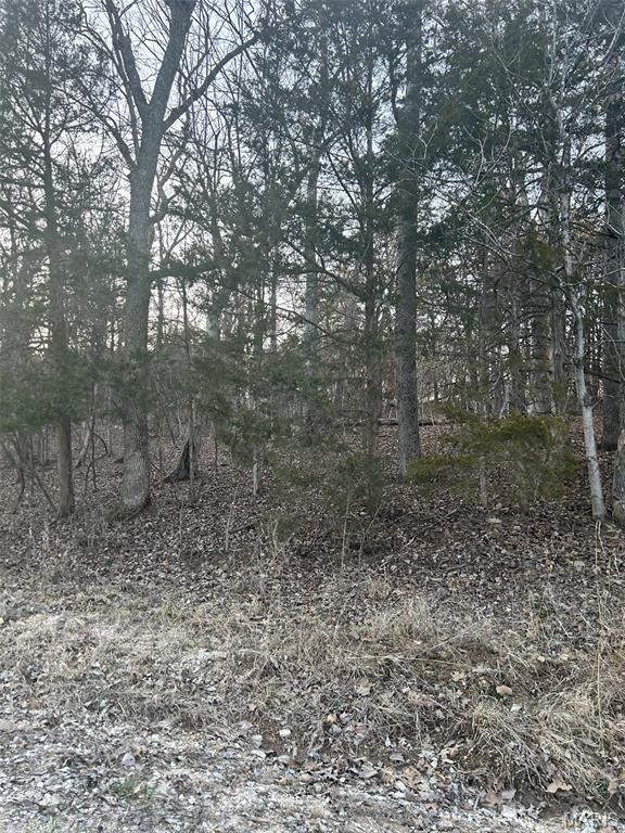 121 Briarwood Terrace, De Soto, MO, 63020