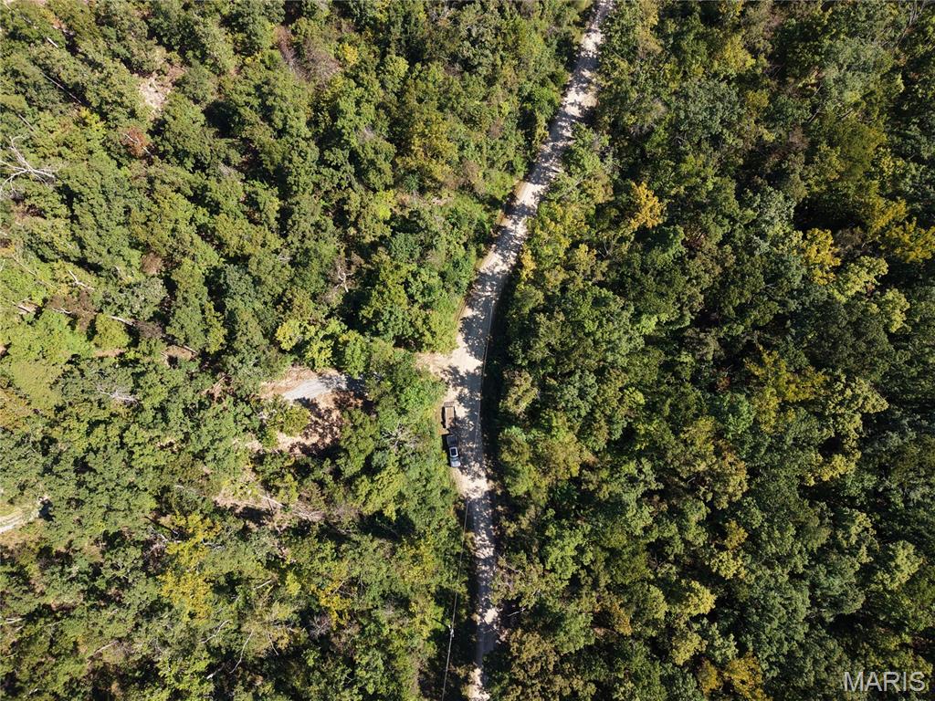 First slide