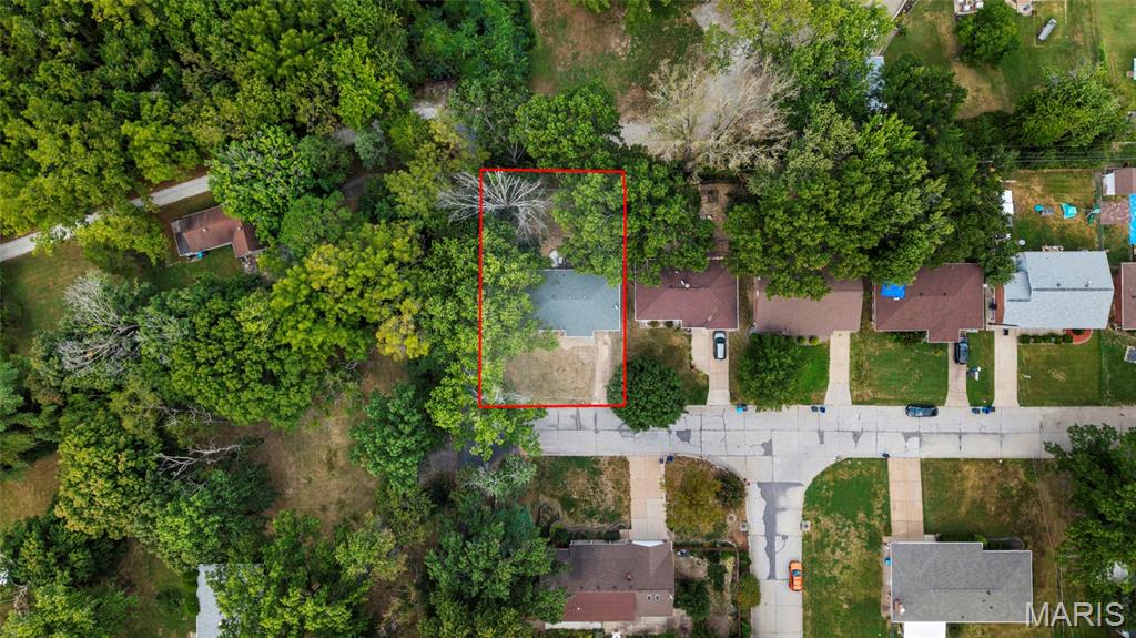 First slide