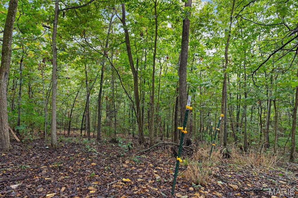 First slide