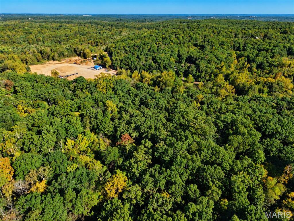 First slide