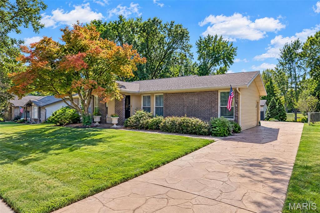 First slide
