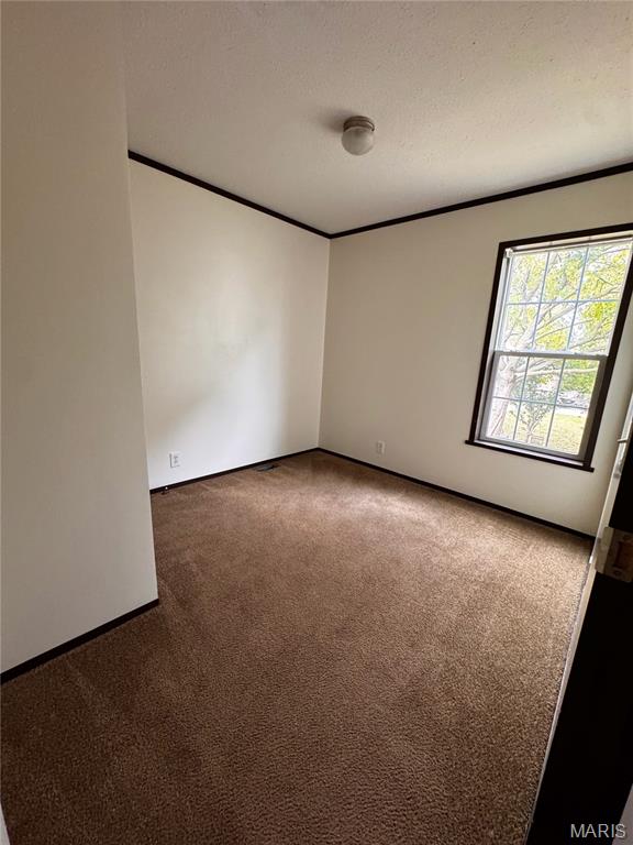 First slide