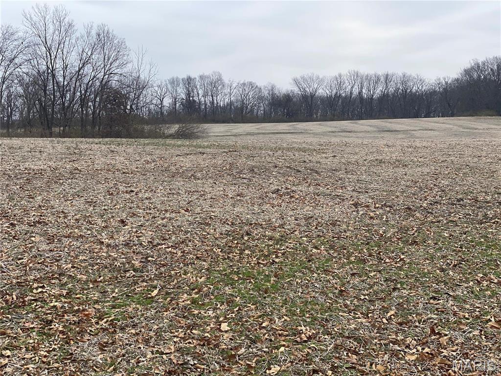 30 Elm Tree Road, Moscow Mills, MO, 63362