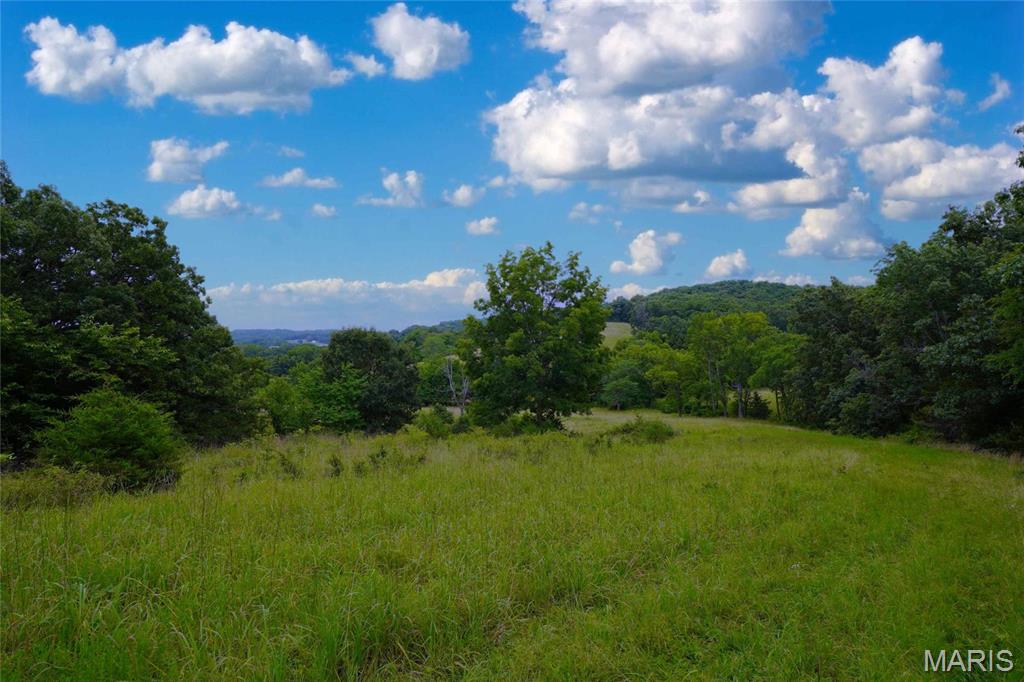 28 Acres Hwy 100, Unincorporated, MO, 65041