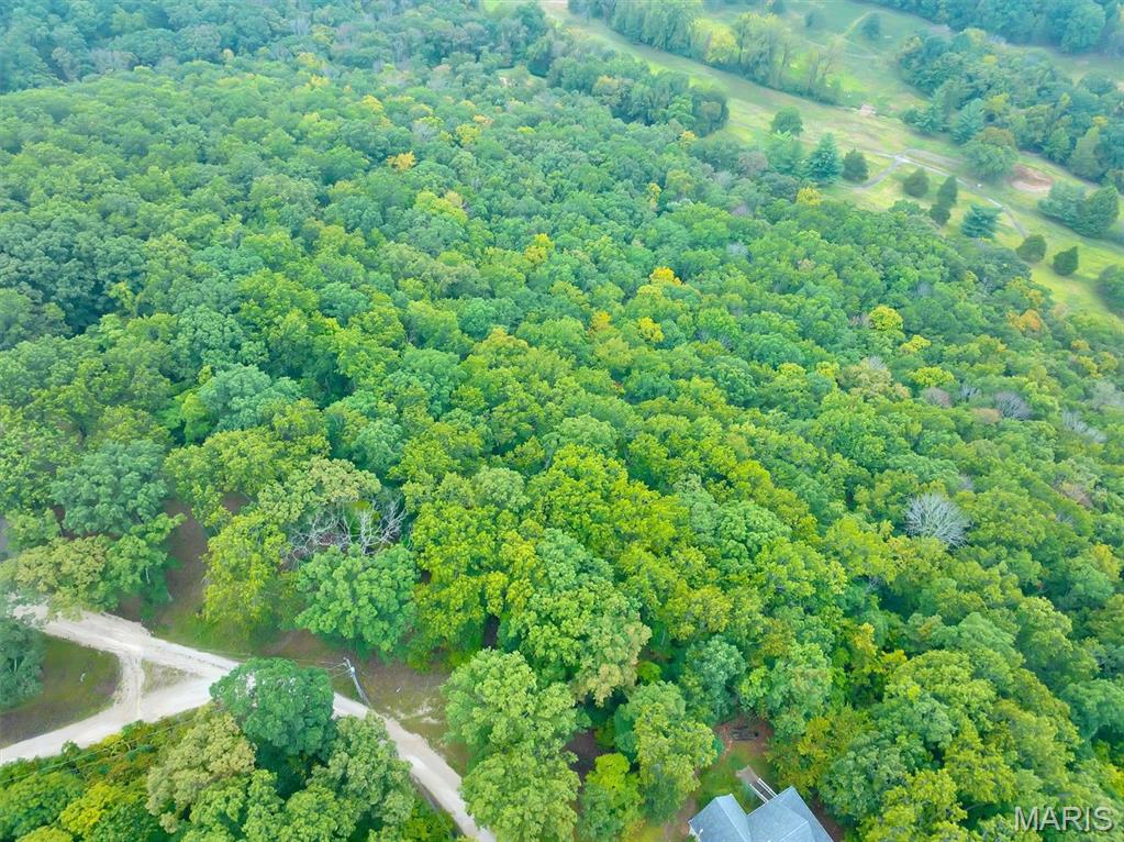 First slide