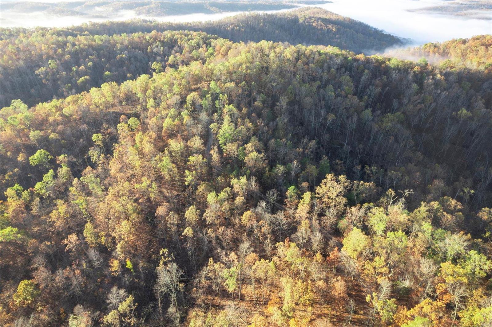 First slide