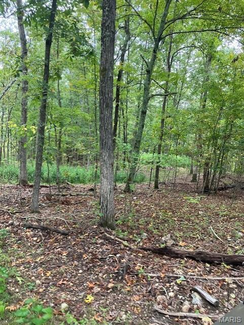 99 Madison CR 410, Unincorporated, MO, 63645 - 0 bed, 0 bath home for sale in Fredericktown, MO